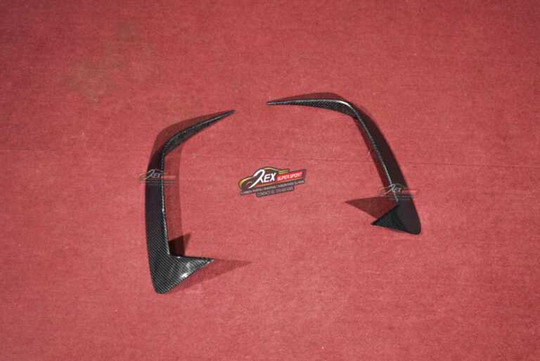 Honda FL5 Type R Rear Canard CMST Dry Carbon